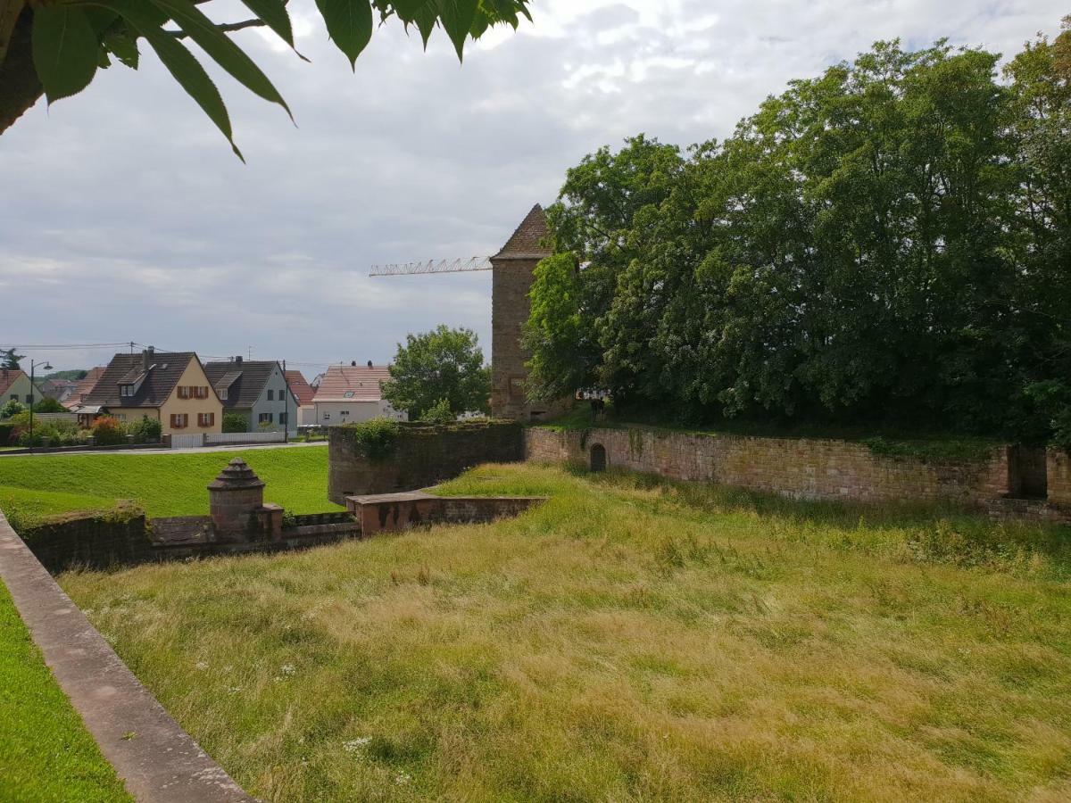 Au Repos Des Remparts Appartement Wissembourg Buitenkant foto